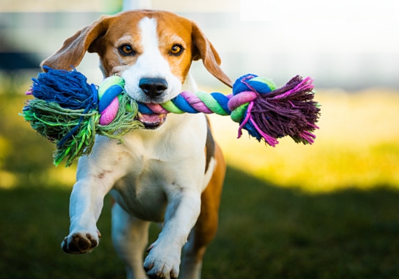 Manors Upstate Manors Upstate